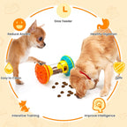 Interactive Dog Puzzle Toy, Treat Dispensing Slow Feeder Enrichment Toy for Bored Dogs and Mental Stimulation
