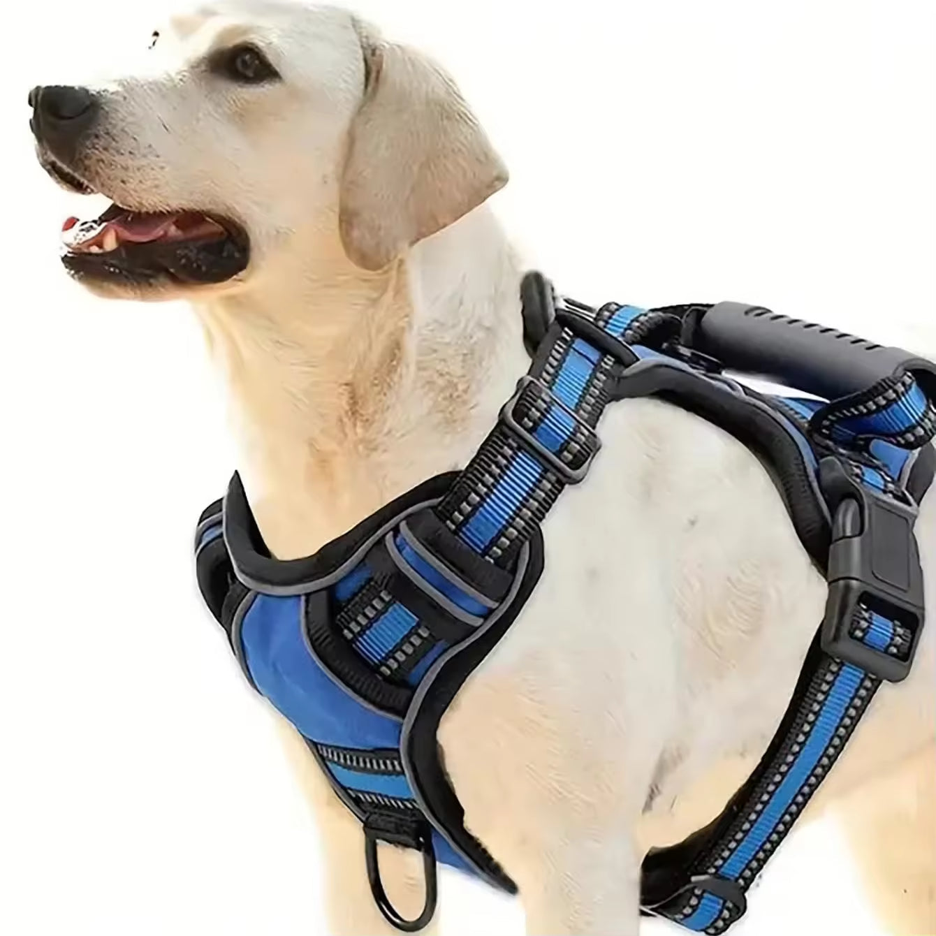 Dog Harness Set with Car Seat Belt, Collapsible Bowl and Biodegradable Waste Bag Accessories