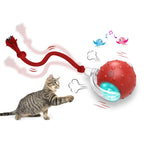 Motion activated cat toy ball showing automatic movement feature
